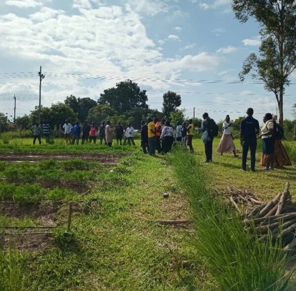 30 Farmers Visit Wole Mixed Farm